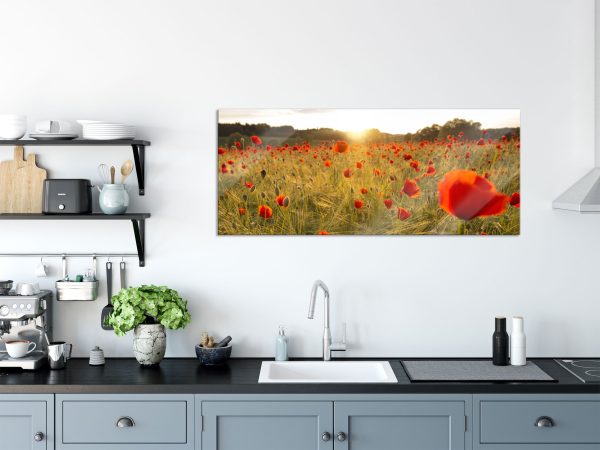 Mohnfeld bei Sonnenuntergang, Glasbild Panorama Rabatt – Bild 3
