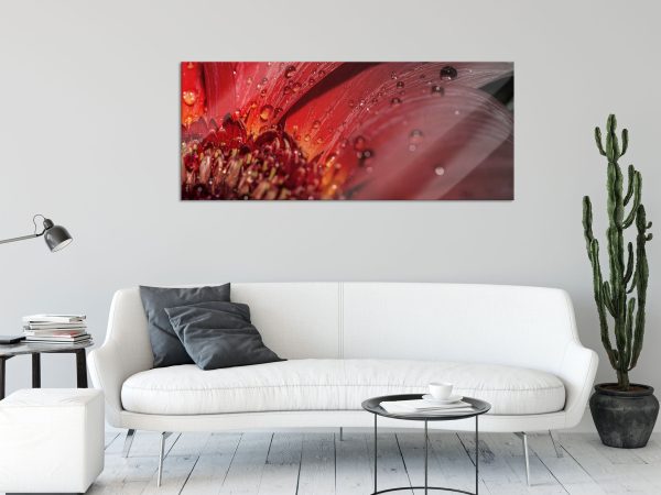 Gerbera Blüte, Glasbild Panorama Angebot – Bild 2