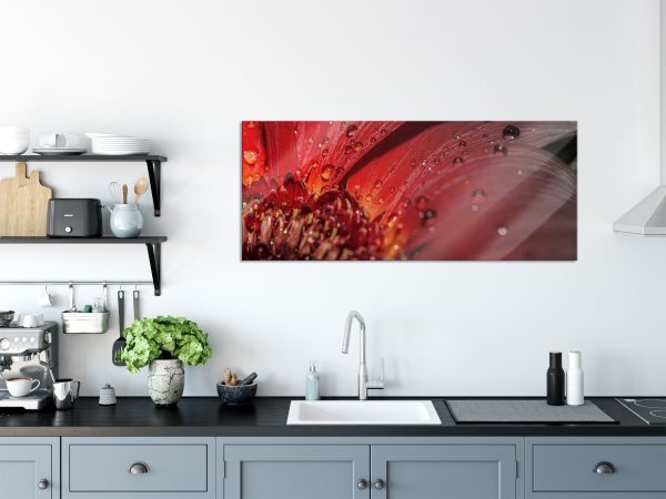 Gerbera Blüte, Glasbild Panorama Angebot – Bild 3
