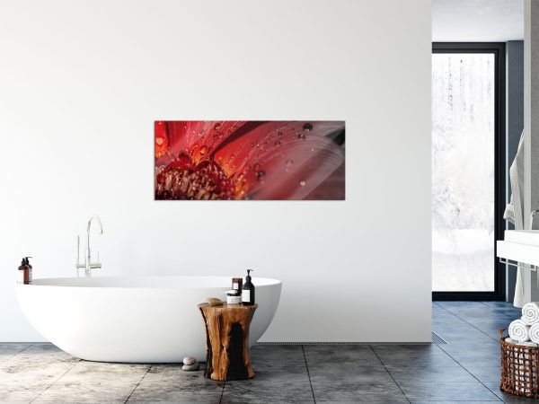 Gerbera Blüte, Glasbild Panorama Angebot – Bild 4